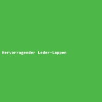 Hervorragender Leder-Lappen